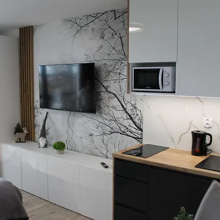 Hellene Snow Stary Smokovec Apartment Vysoke Tatry Exterior photo