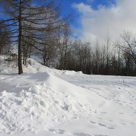 Hellene Snow Stary Smokovec Apartment Vysoke Tatry Exterior photo